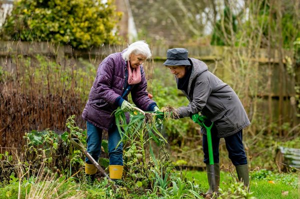 Comment les seniors peuvent-ils intégrer le jardinage vertical dans leur routine pour améliorer leur bien-être?